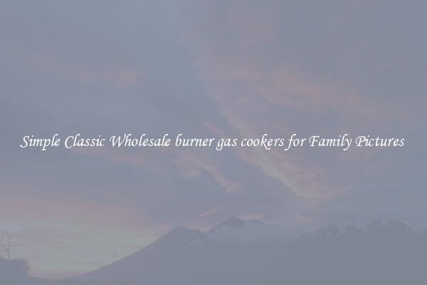 Simple Classic Wholesale burner gas cookers for Family Pictures 