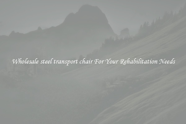 Wholesale steel transport chair For Your Rehabilitation Needs
