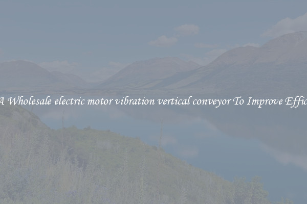 Get A Wholesale electric motor vibration vertical conveyor To Improve Efficiency
