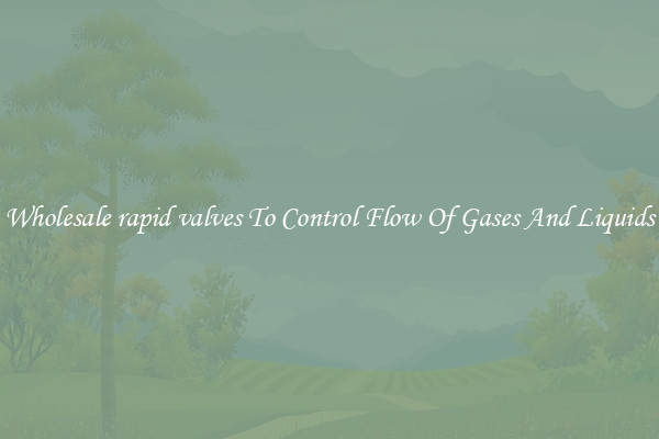 Wholesale rapid valves To Control Flow Of Gases And Liquids