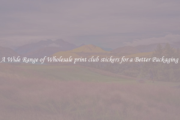 A Wide Range of Wholesale print club stickers for a Better Packaging 