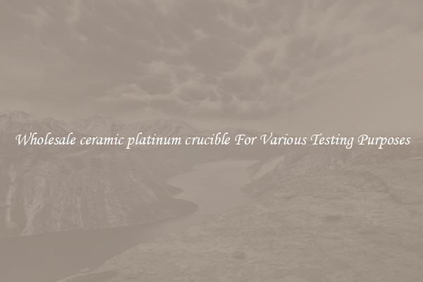 Wholesale ceramic platinum crucible For Various Testing Purposes