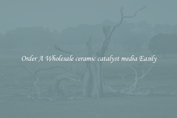 Order A Wholesale ceramic catalyst media Easily