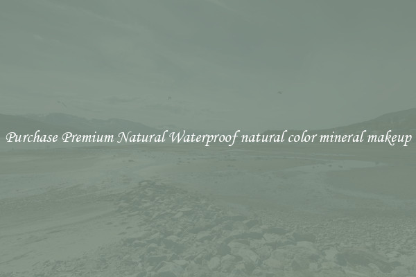 Purchase Premium Natural Waterproof natural color mineral makeup