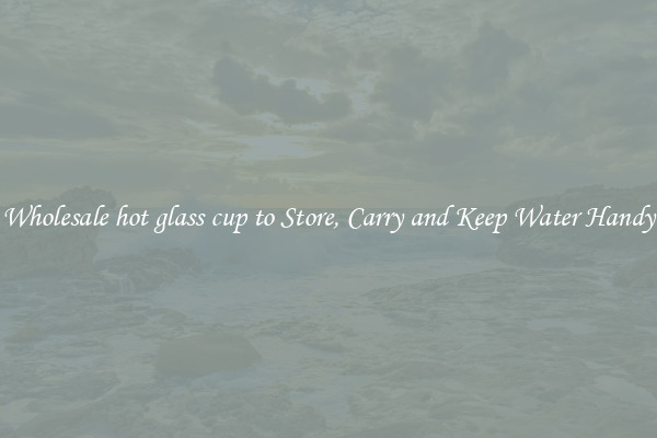 Wholesale hot glass cup to Store, Carry and Keep Water Handy