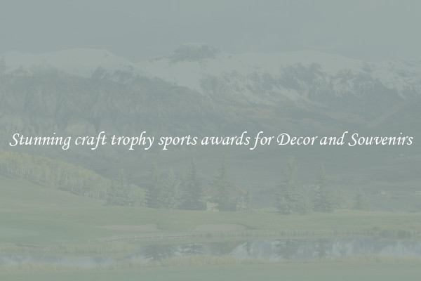 Stunning craft trophy sports awards for Decor and Souvenirs