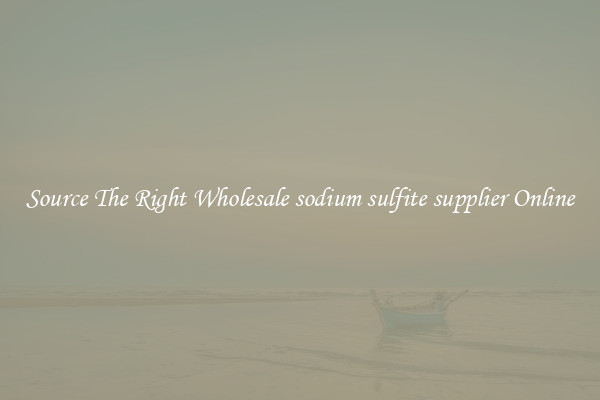 Source The Right Wholesale sodium sulfite supplier Online