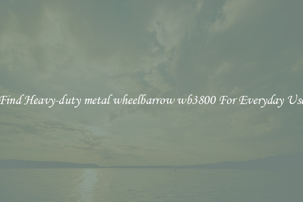 Find Heavy-duty metal wheelbarrow wb3800 For Everyday Use