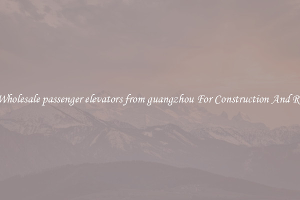 Buy Wholesale passenger elevators from guangzhou For Construction And Repairs
