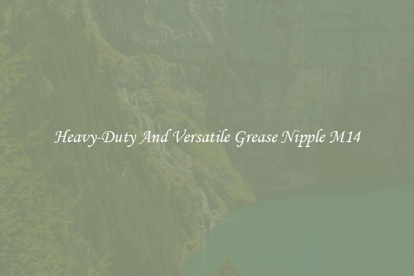 Heavy-Duty And Versatile Grease Nipple M14