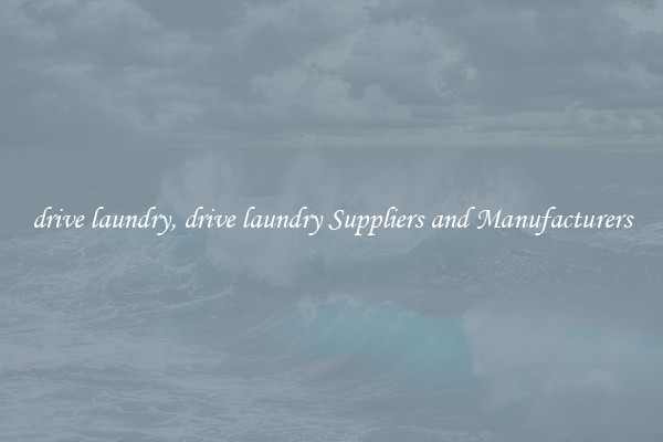 drive laundry, drive laundry Suppliers and Manufacturers