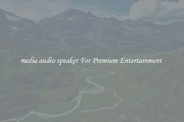 media audio speaker For Premium Entertainment 